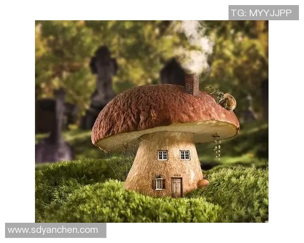 加莱诺的艺术世界探索与人文精神的深度融合之旅 加莱诺的艺术世界探索与人文精神的深度融合之旅