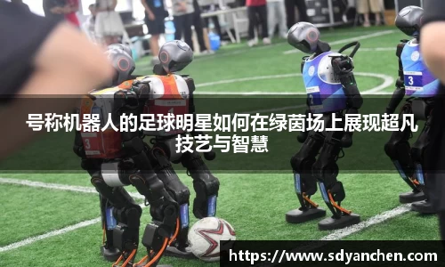 号称机器人的足球明星如何在绿茵场上展现超凡技艺与智慧